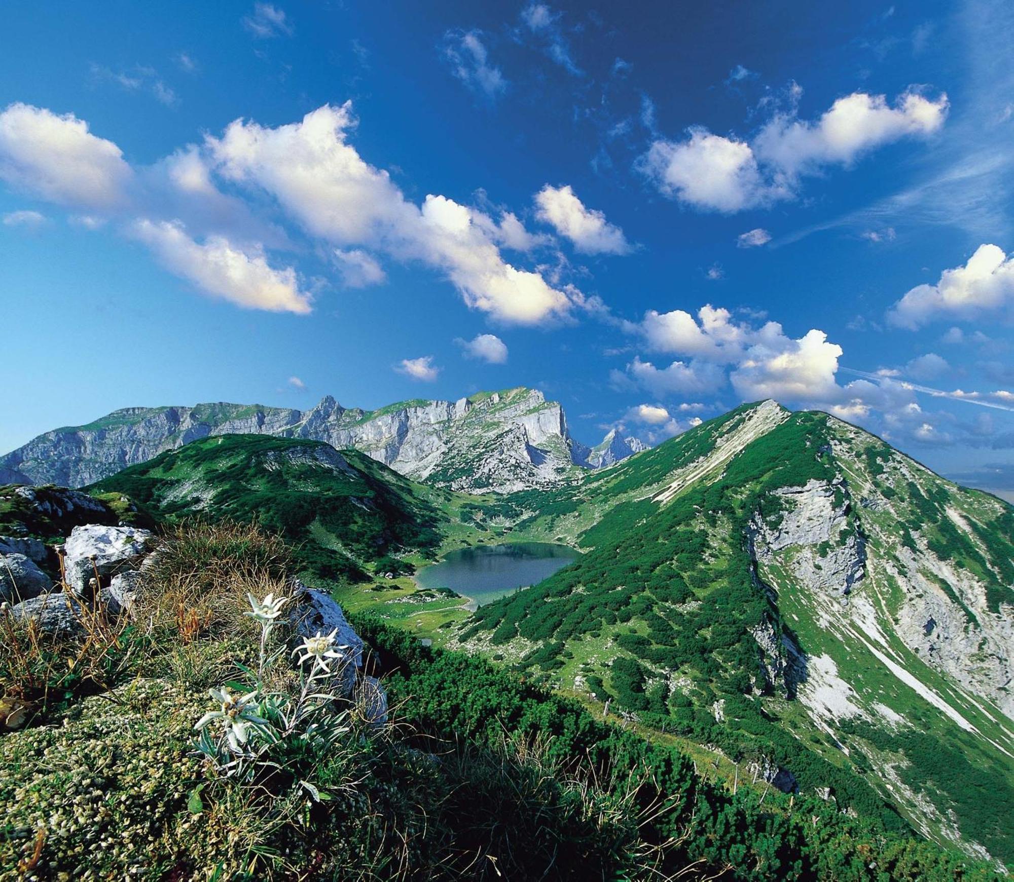 Hotel Neuwirt Brandenberg Екстер'єр фото
